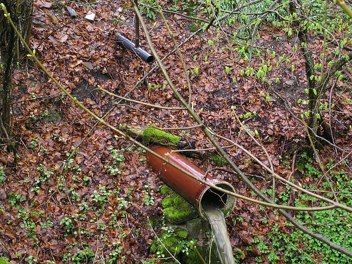 rotbraunes Rohr ragt aus einer Böschung im Wald, dort läuft Wasser aus. Dir Böschung ist mit braunen Blättern übersäht. Ein weiteres kleines graues Rohr ragt weiter oben aus der Böschung. 