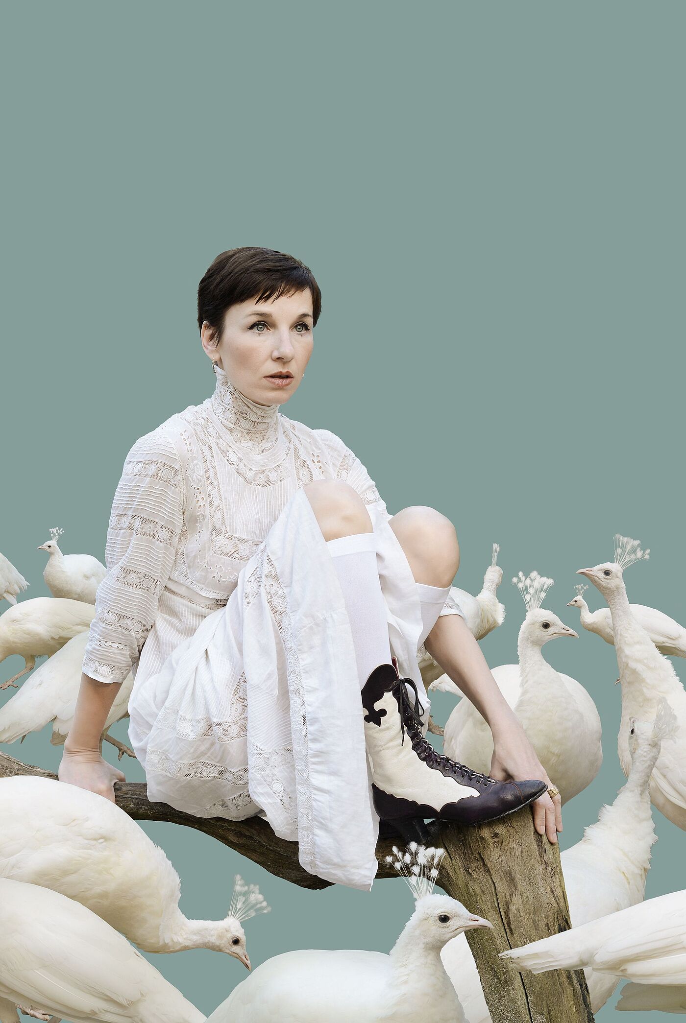 Becker umgeben von weißen Pfauen