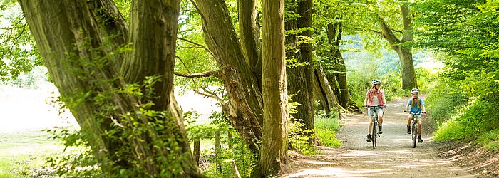 Waldweg auf dem zwei Personen an einem sonnigen Tag Fahrrad fahren