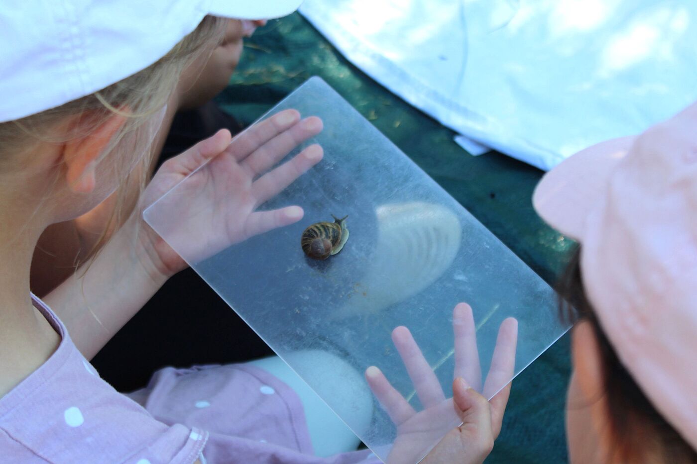 Zwei Kinder gucken eine Schnecke an.