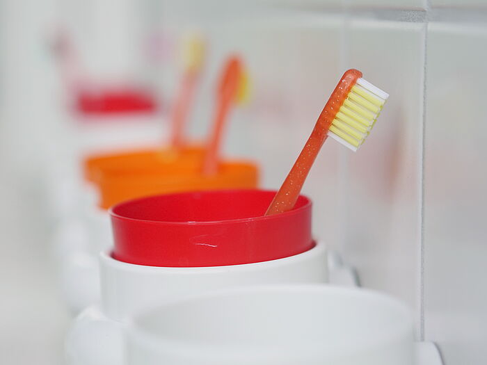 Reihe von Zahnbürstenhalterungen mit bunten Zahnbürsten 