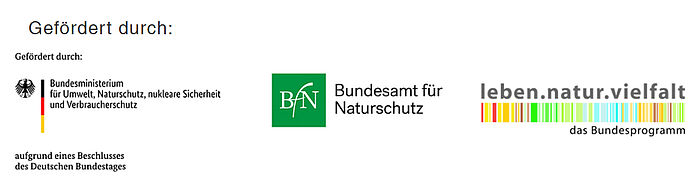 zu sehen sind drei Logos: das des Bundesministeriums für Umwelt, des Bundesamtes für Naturschutz und das des Förderprogramms "leben.natur.vielfalt"