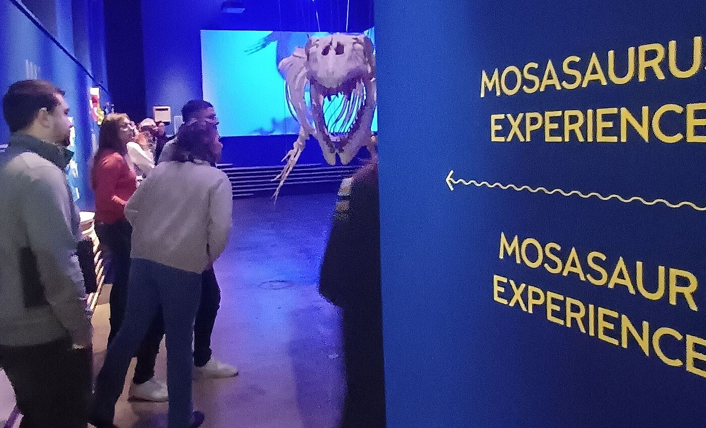 Lehrer erkunden die Ausstellung im Naturkundemuseum in Maastricht