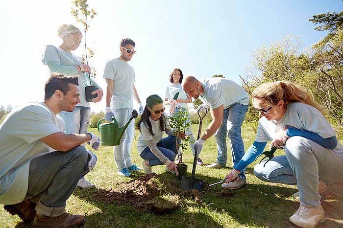 Junge Ehrenamtler pflanzen einen Baum