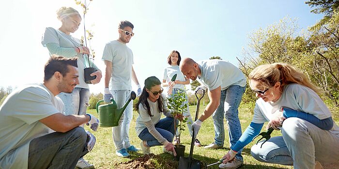 Junge Ehrenamtler pflanzen einen Baum