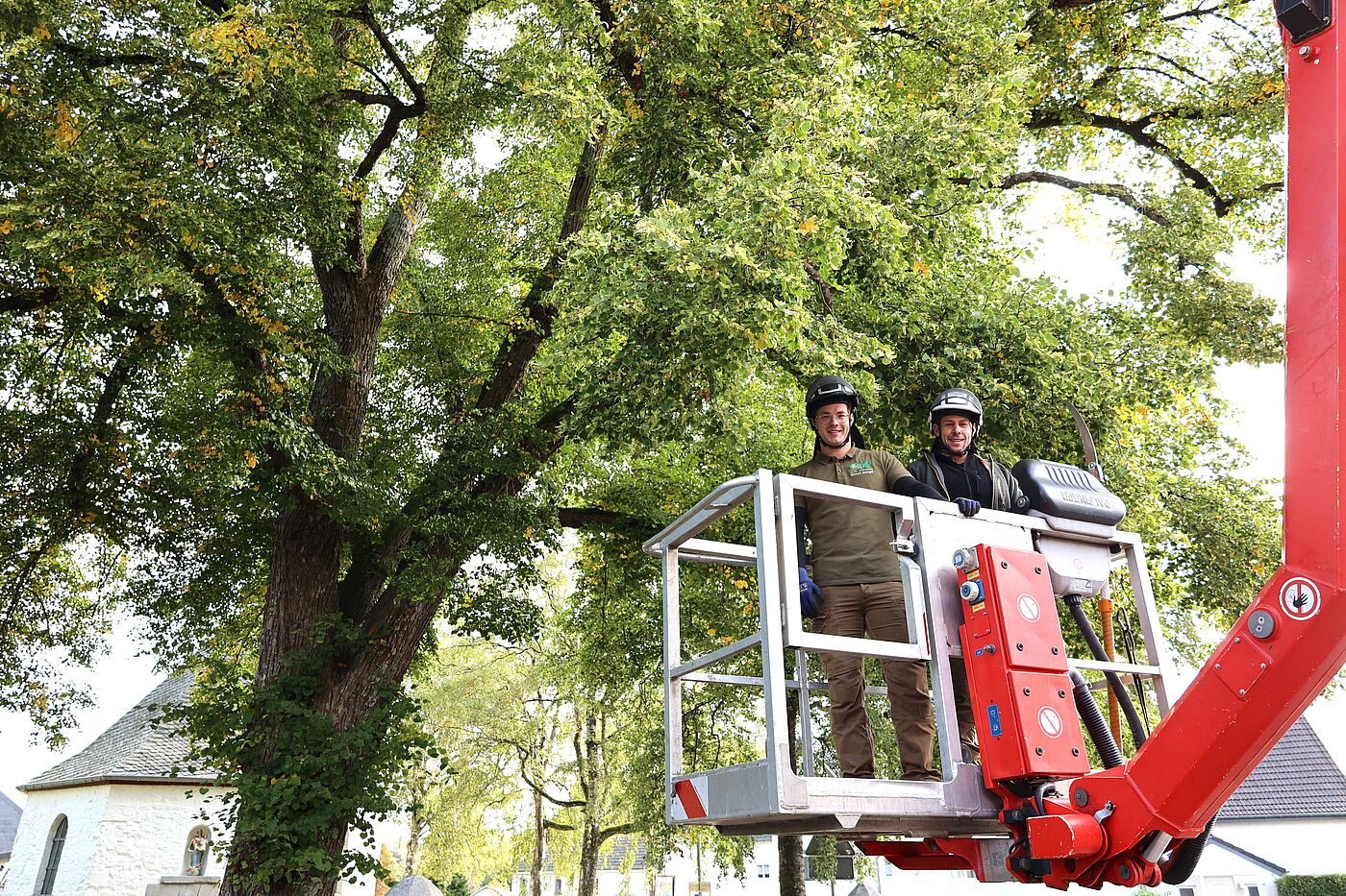 Die Fachagrarwirte für Baumpflege und Baumsanierung, Simon Bougé (l.) und Maximilian Stephan (r.), bei der Sichtkontrolle an der Winterlinde an der Marienkapelle in Roetgen.
