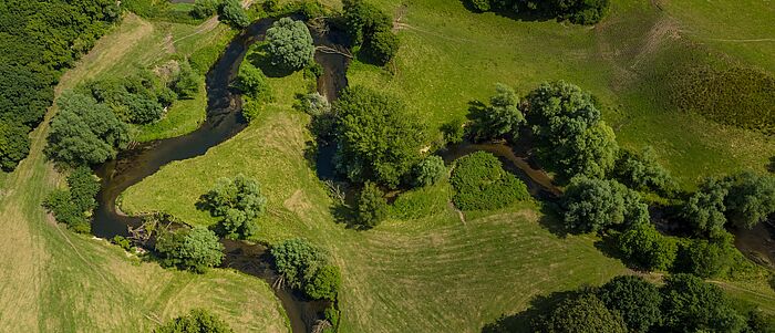Wurmtal Bild von einer grünen Wiesenfläche im Wurmtal