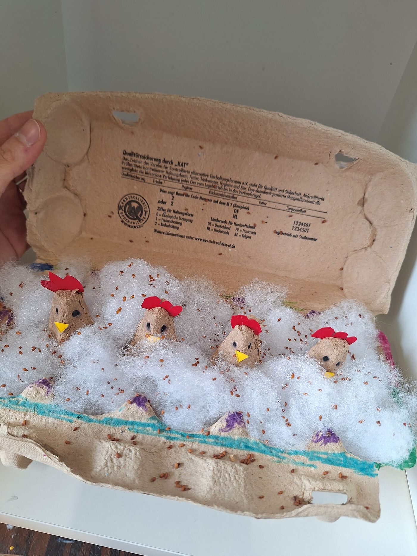 Kresse im Eierkarton