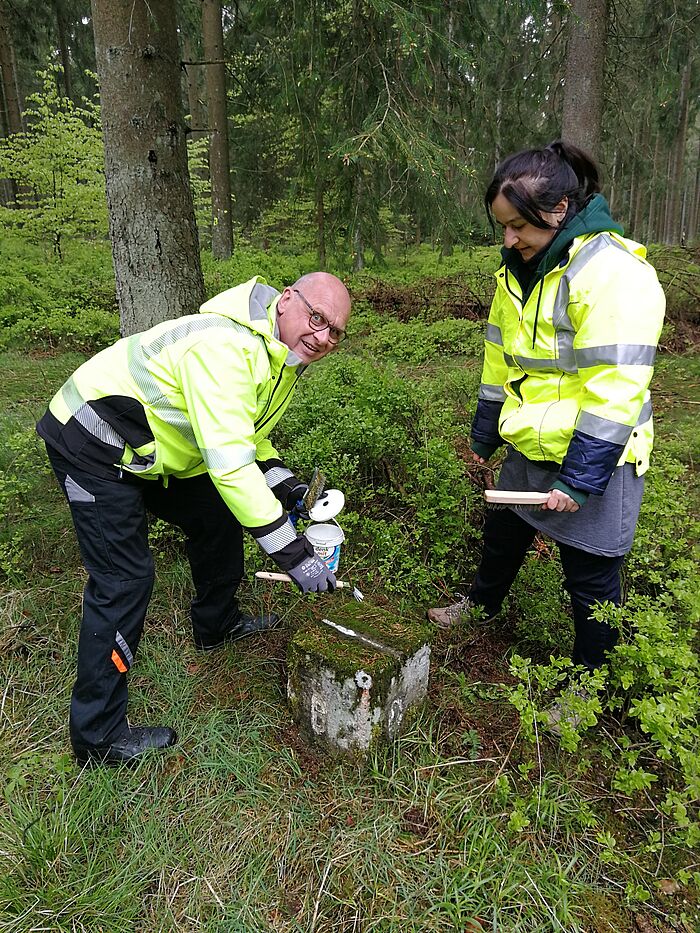 Ein Mitarbeiter der StädteRegion Aachen sowie eine Mitarbeiterin der belgischen Vermessungsverwaltung überprüfen einen Landesgrenzstein in einem Waldstück an der deutsch-belgischen Grenze.