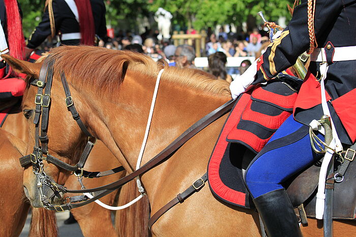 uniformierter Reiter auf einem braunen Pferd