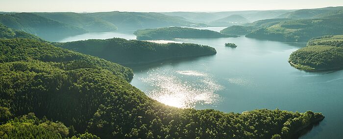 Blick von oben auf einen See und Waldgebiet