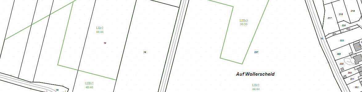 Beispiel eines Auszugs aus dem Liegenschaftskataster als Schätzungskarte