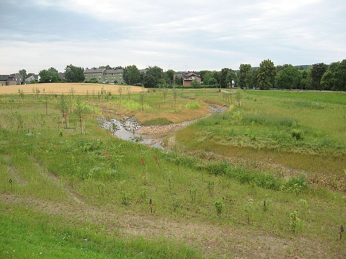 Neu angelegter Fluss mit Pflanzen, Bäumen und Gras frisch befplanzt. Im Hintergurnd Feld mit Häusern und Bäumen, Wolken im blauen Himmel.