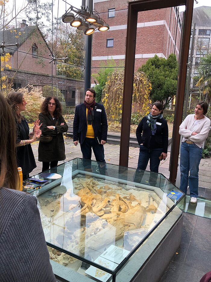Mehrere Leute vor einem Glaskasten mit Fossilien.