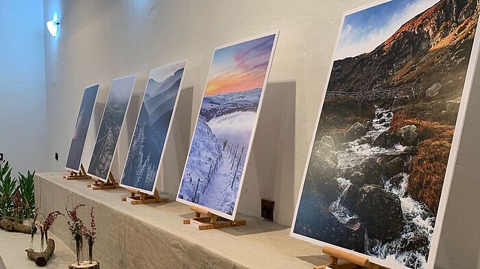 Vier ausgestellte Landschaftsbilder