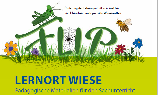 Titelblatt der FLIP-Unterrichtsmaterialien für die Klasse 3 und 4, grüne Wiese und Insekten