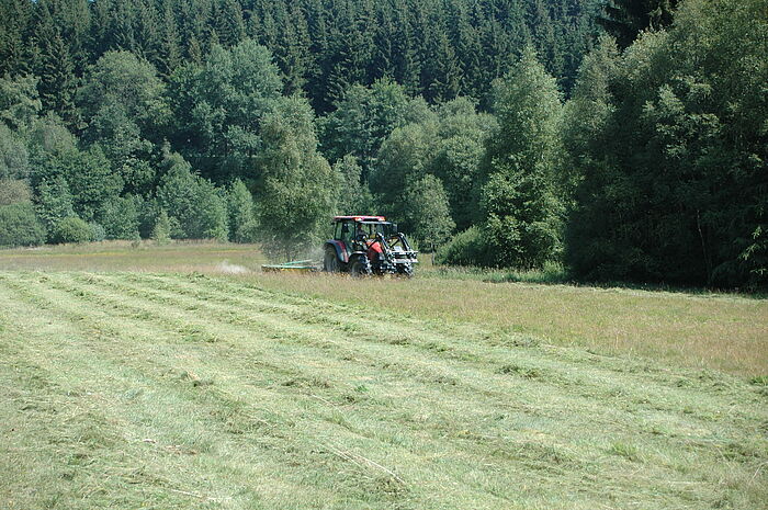 Traktor beim Mähen einer Wiese