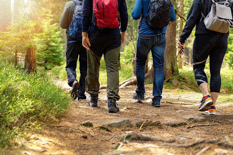 Gruppe wandert im Wald