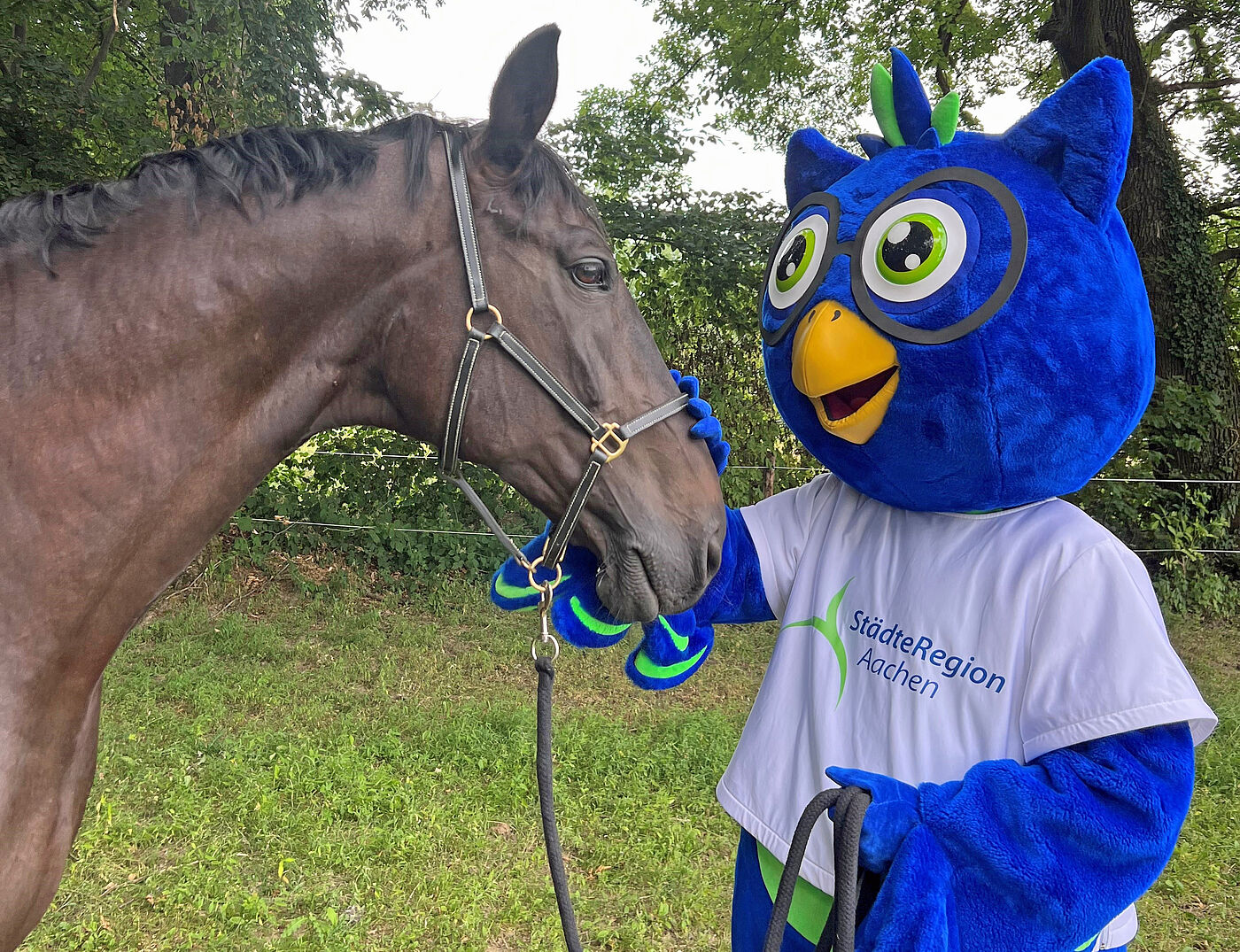 Eule Hedi (rechts) - das Maskottchen der StädteRegion Aachen – freut sich auf kleine und große Besucherinnen und Besucher am Stand der StädteRegion Aachen.
