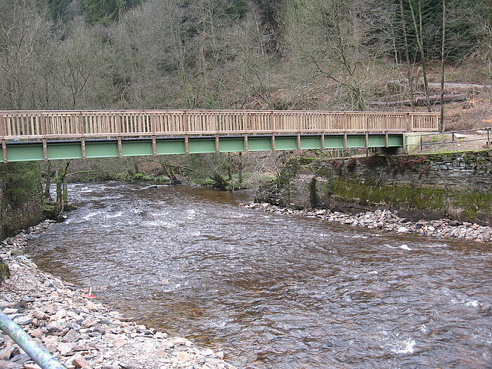 Holzbrücke mit grünem Stahlträger führt über einen Fluß