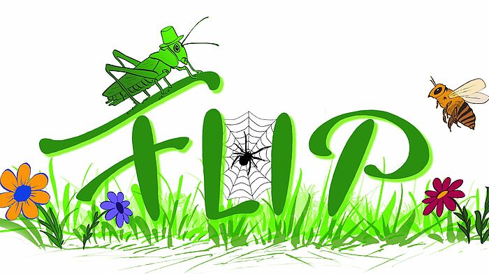  	Zu sehen ist das lokale FLIP-Projektlogo. Eine grüne Wiese mit Blumen, ein Grashüpfer mit Hut, eine Wildbiene sowie eine kleine Spinne, die ihr Netz zwischen den Buchstaben des Logos spannt.