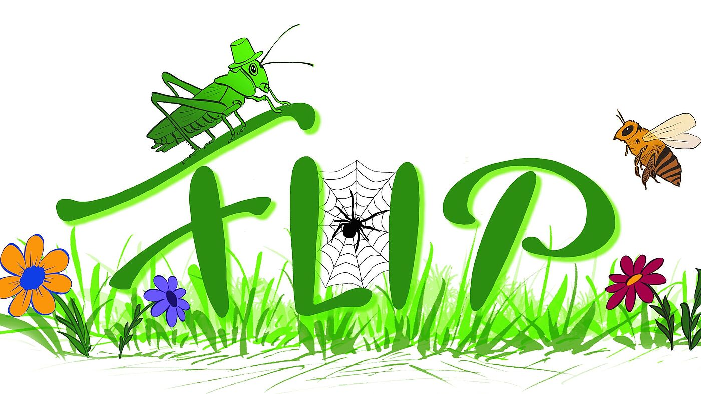  	Zu sehen ist das lokale FLIP-Projektlogo. Eine grüne Wiese mit Blumen, ein Grashüpfer mit Hut, eine Wildbiene sowie eine kleine Spinne, die ihr Netz zwischen den Buchstaben des Logos spannt.