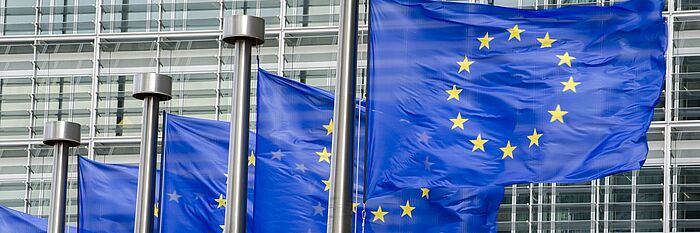 Mehrere Europaflaggen wehen vor einem Gebäude