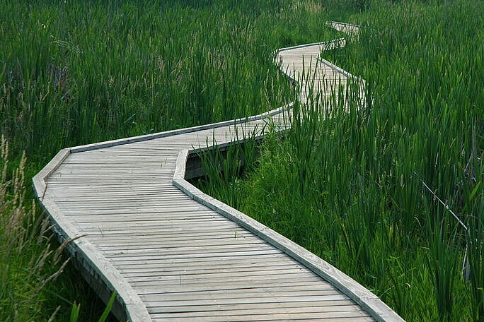 Holzsteg der durch sumpfige Landschaft führt