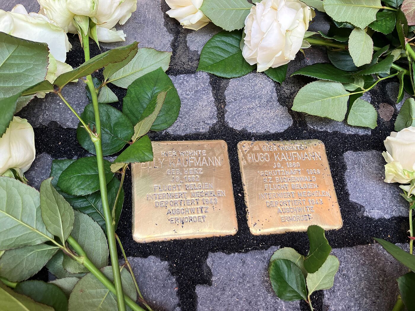 Die beiden neuen Stolpersteine für Elly und Hugo Kaufmann vor der Zollernstraße 24 in Aachen.