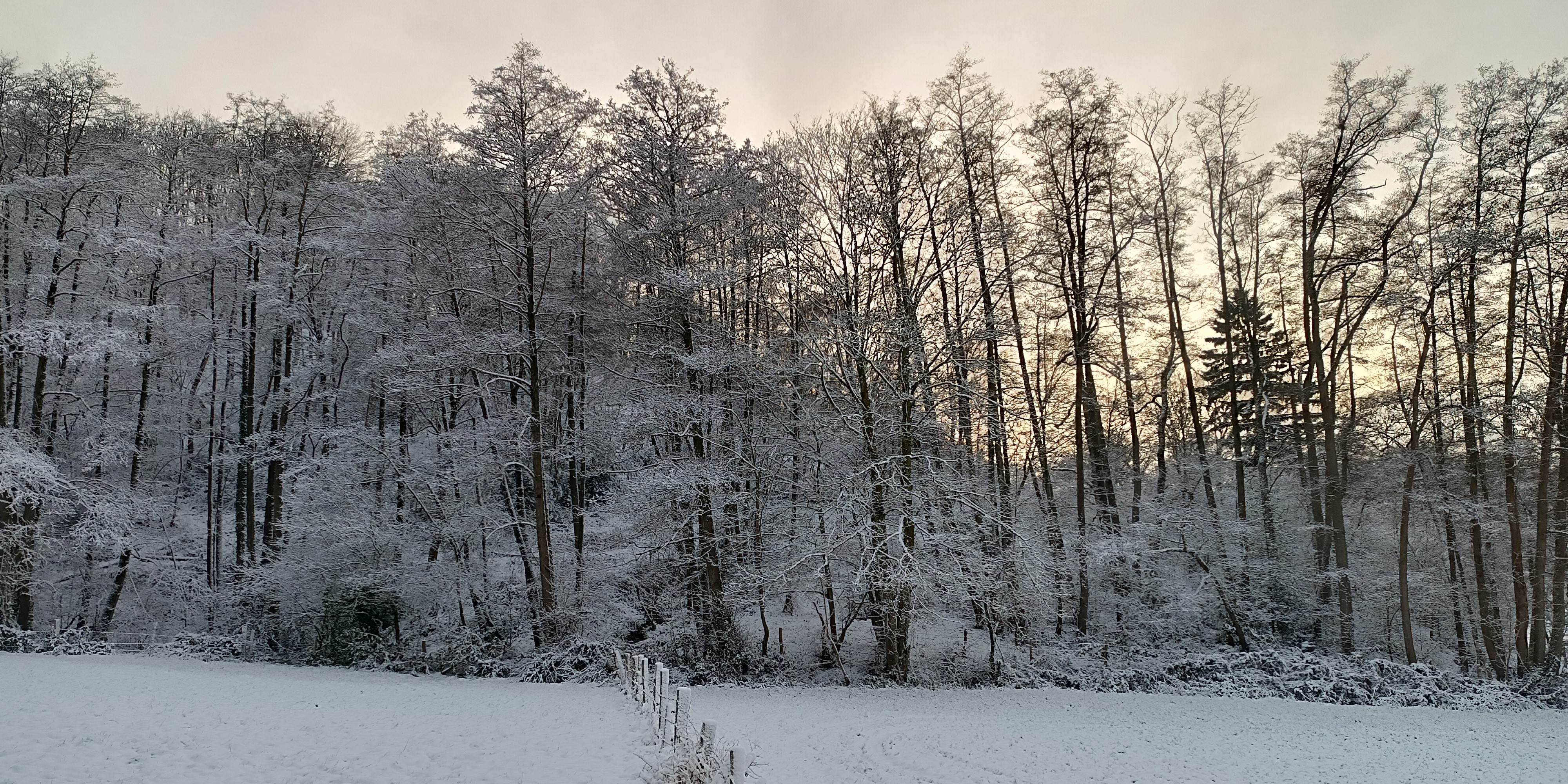 Verschneite Landschaft