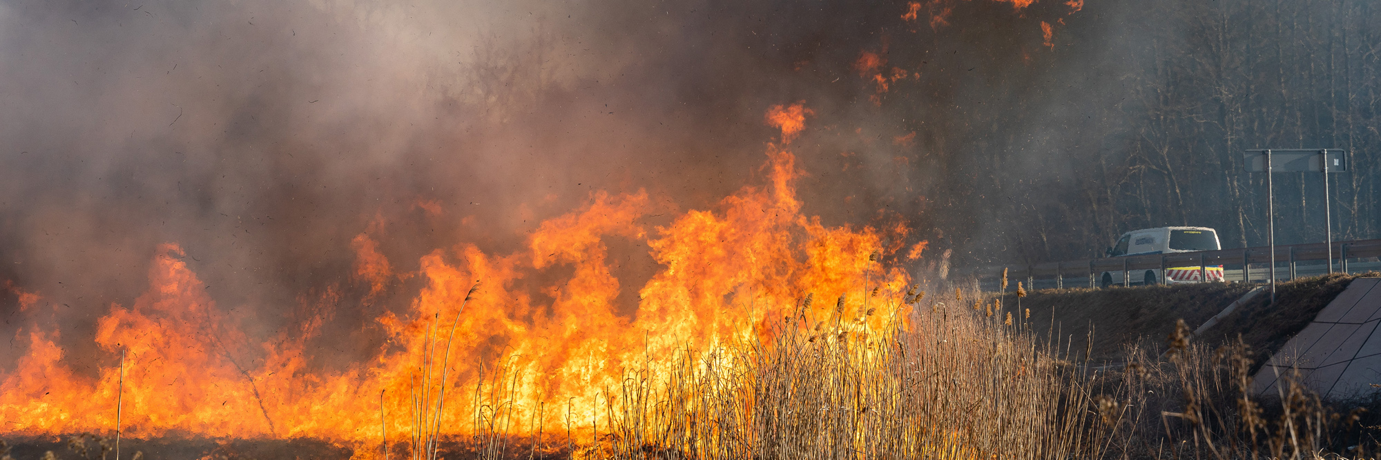 Flächenbrand