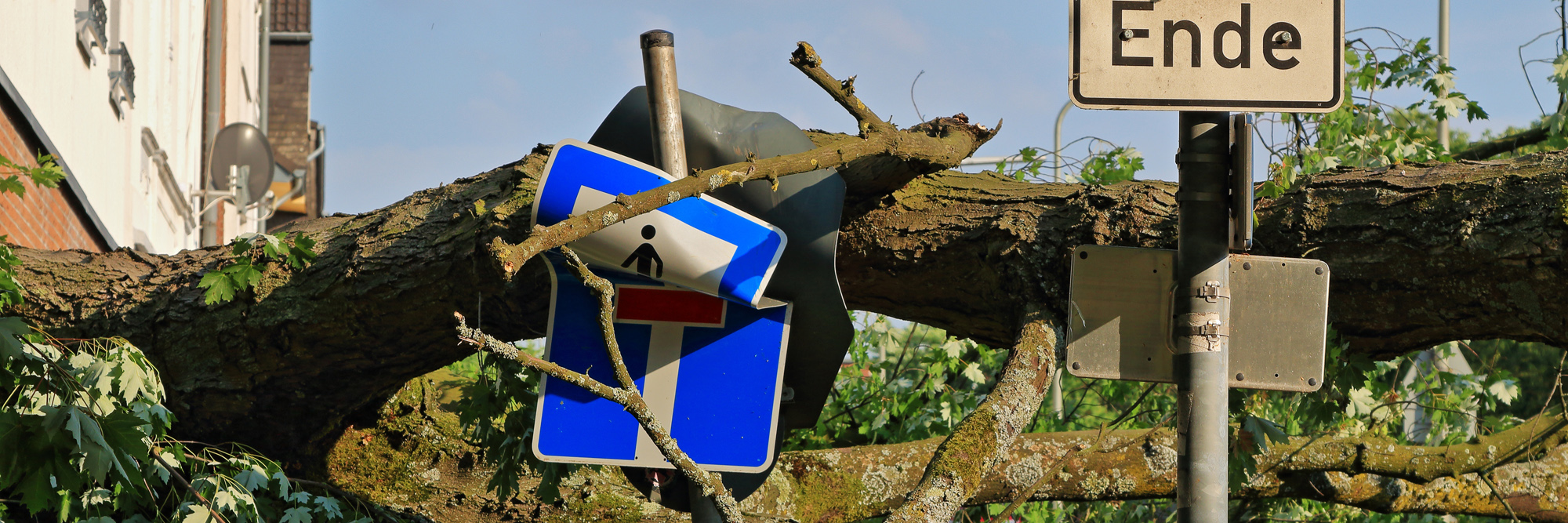 Umgeknickter Baum nach einem Unwetter