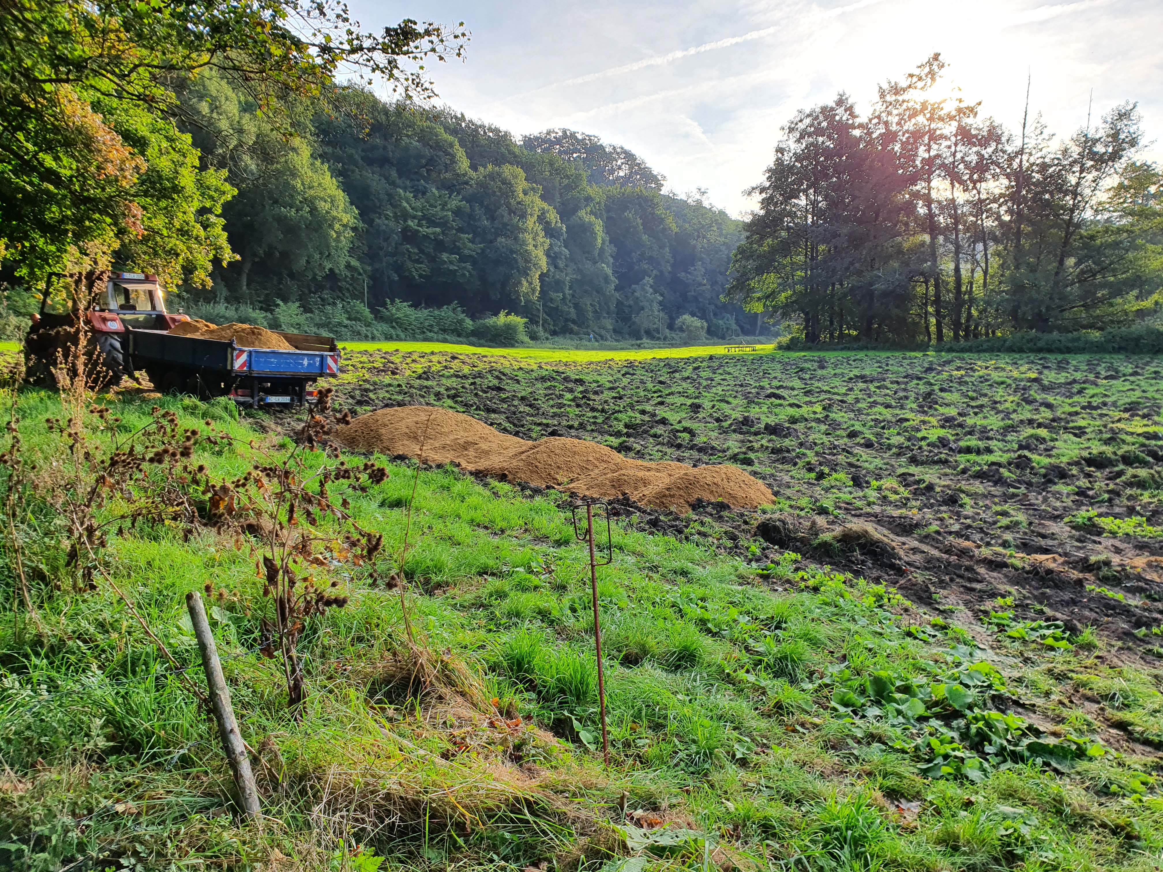 Wiese im Wurmtal, die gerade ausgemagert wird, das bedeutet ein Traktor schüttet Sand auf die Fläche.