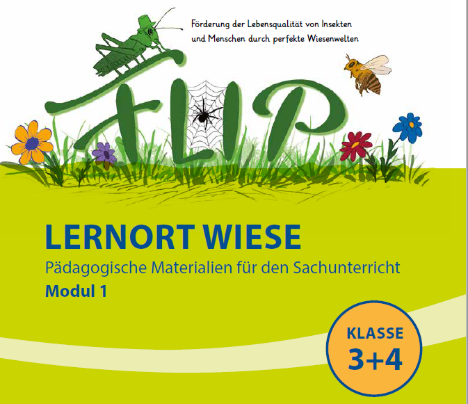 Titelblatt der FLIP-Unterrichtsmaterialien für die Klasse 3 und 4, grüne Wiese und Insekten