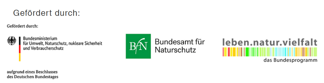 zu sehen sind drei Logos: das des Bundesministeriums für Umwelt, des Bundesamtes für Naturschutz und das des Förderprogramms "leben.natur.vielfalt"