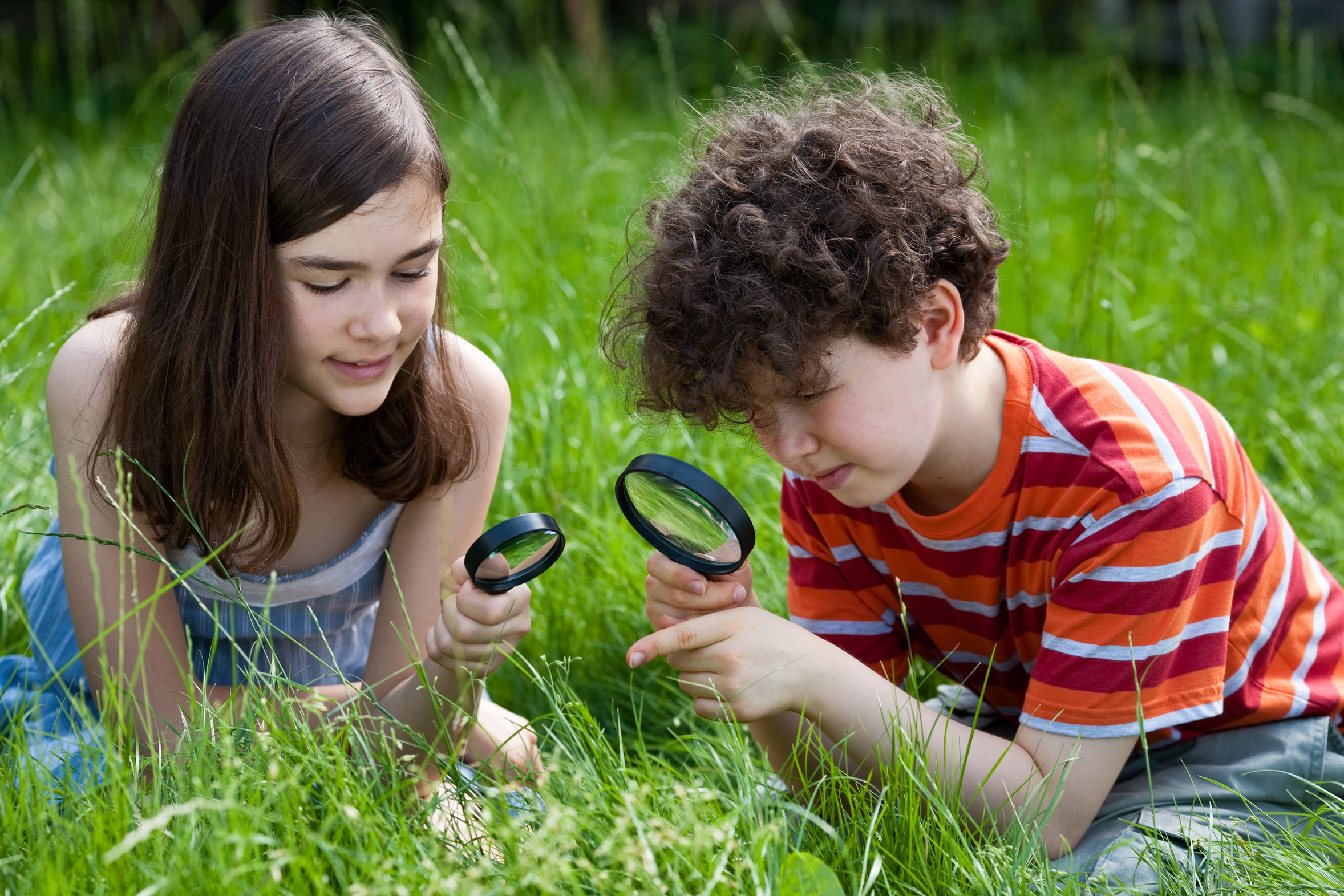 zwei Kinder sitzen auf einer Wiese und untersuchen Grashalme mit Lupen