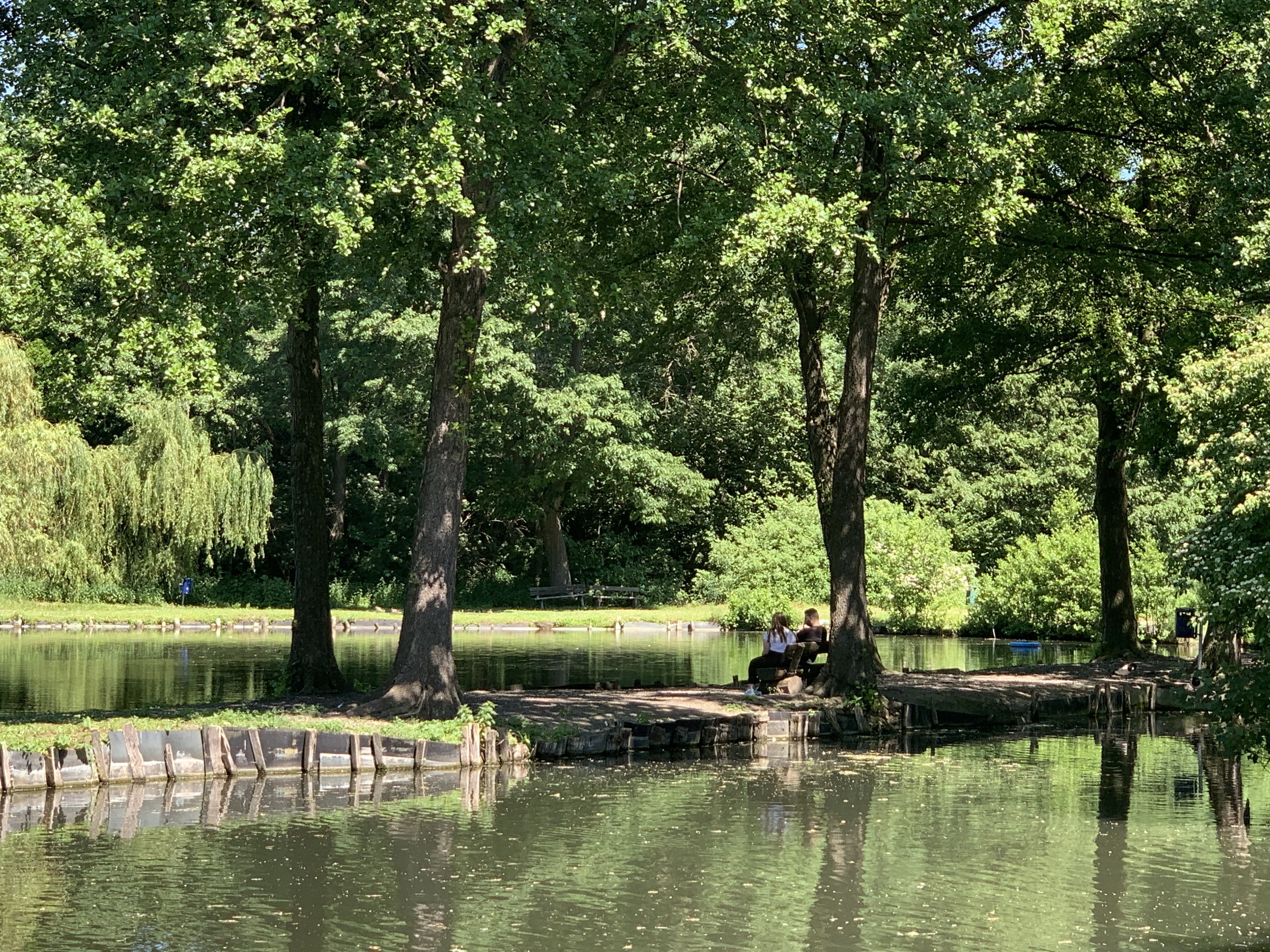 Blick auf den Weiher in Ofden