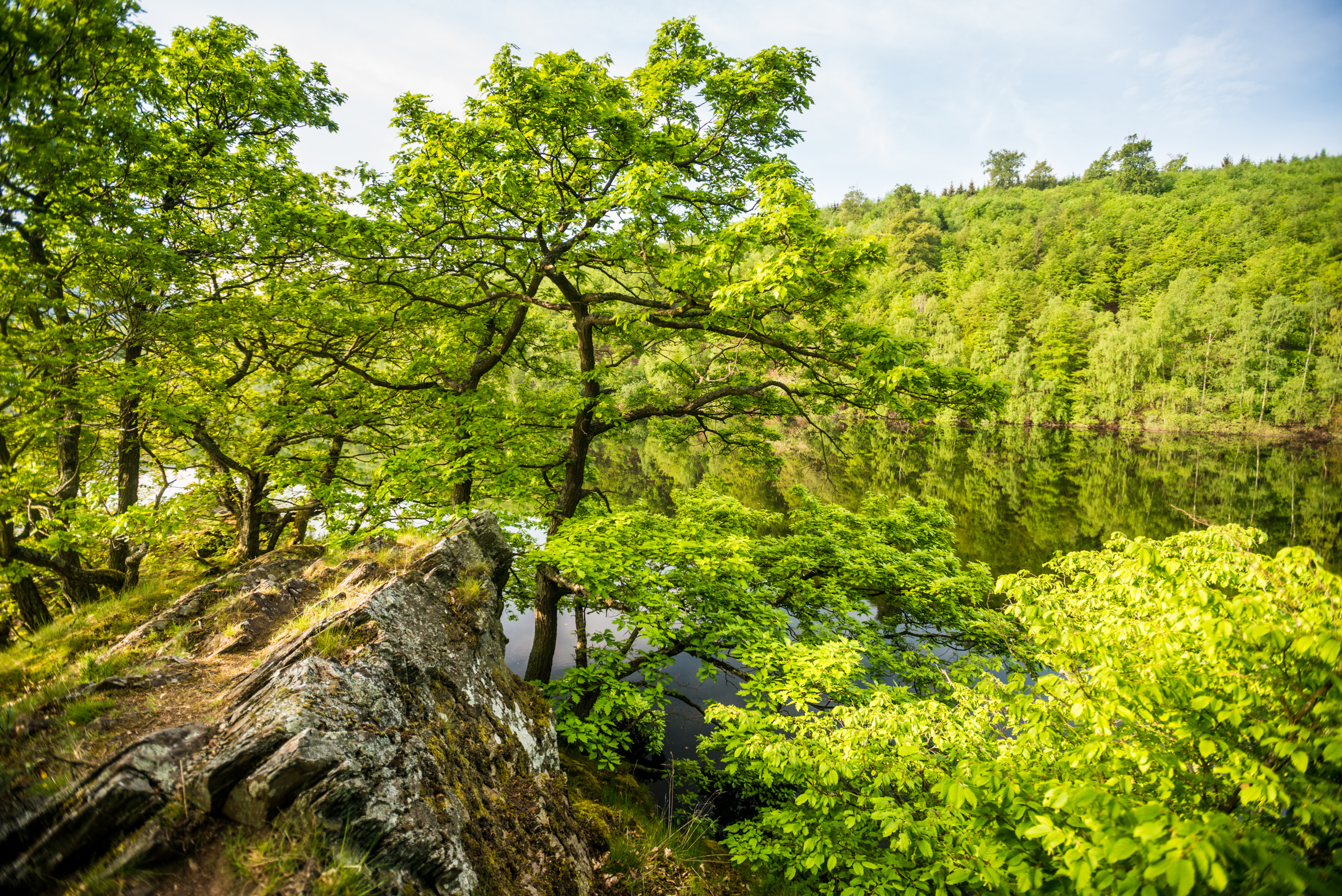 Nationalpark Eifel