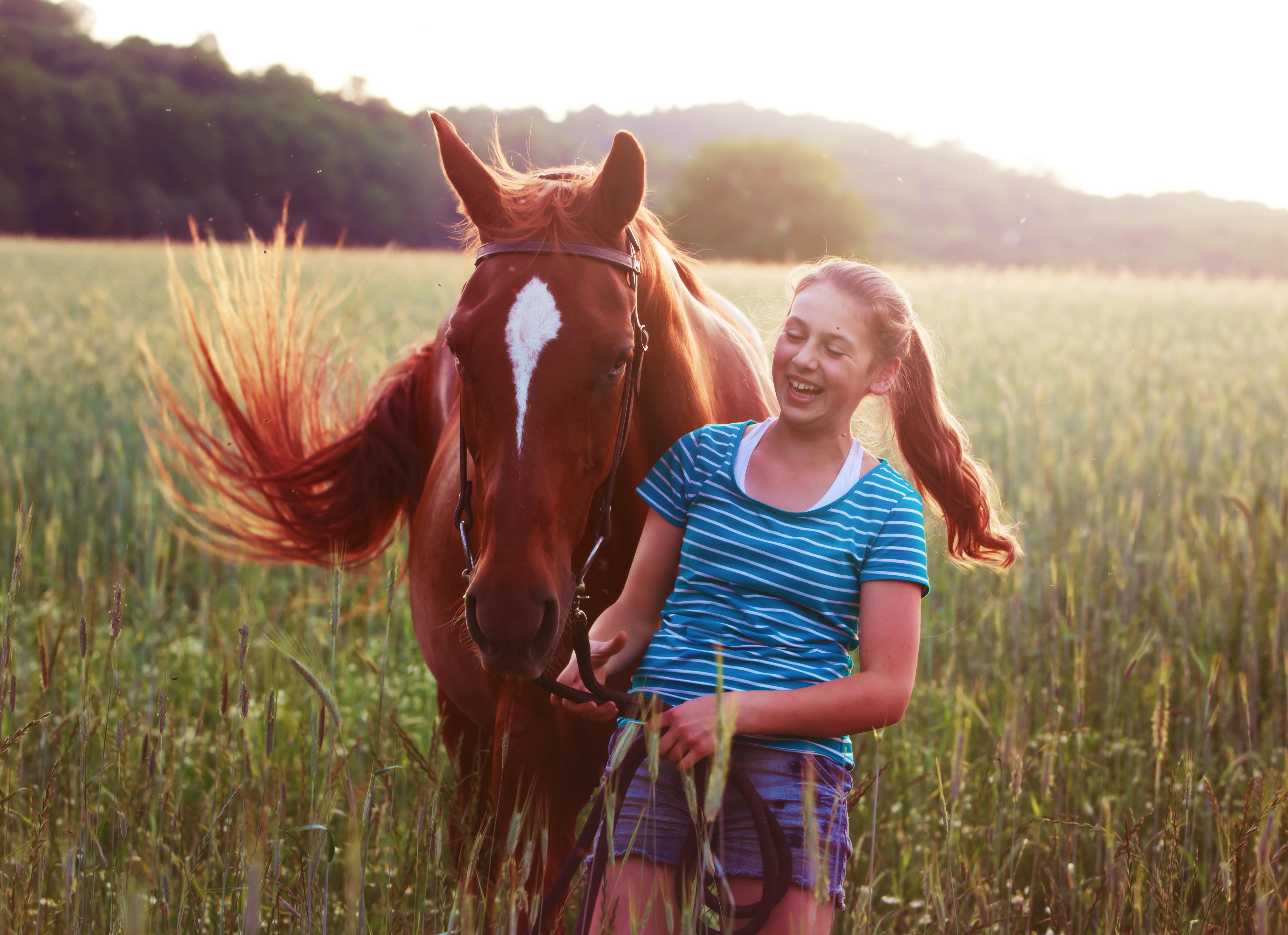 Reiterin im Feld