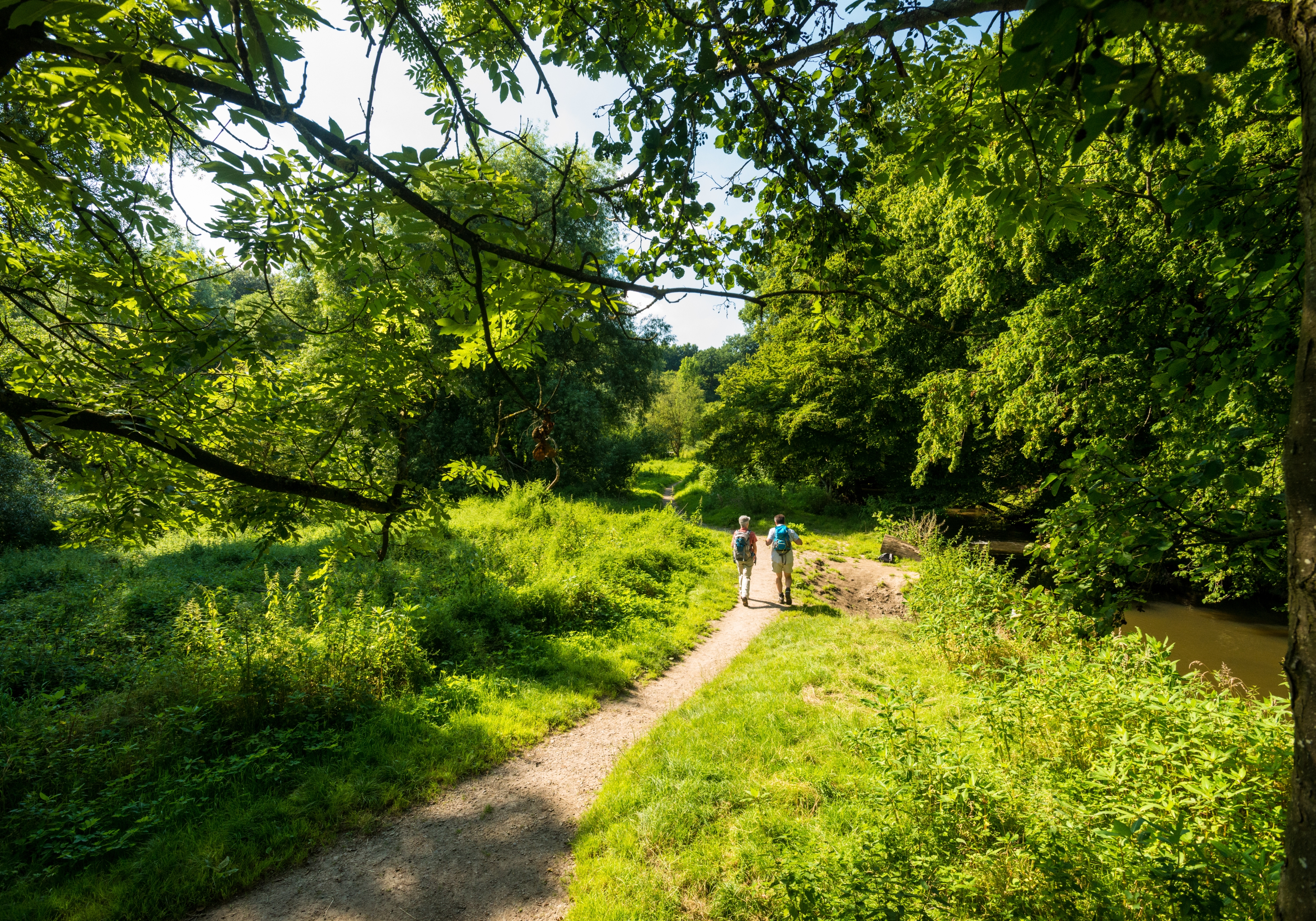 Wanderer im Wurmtal