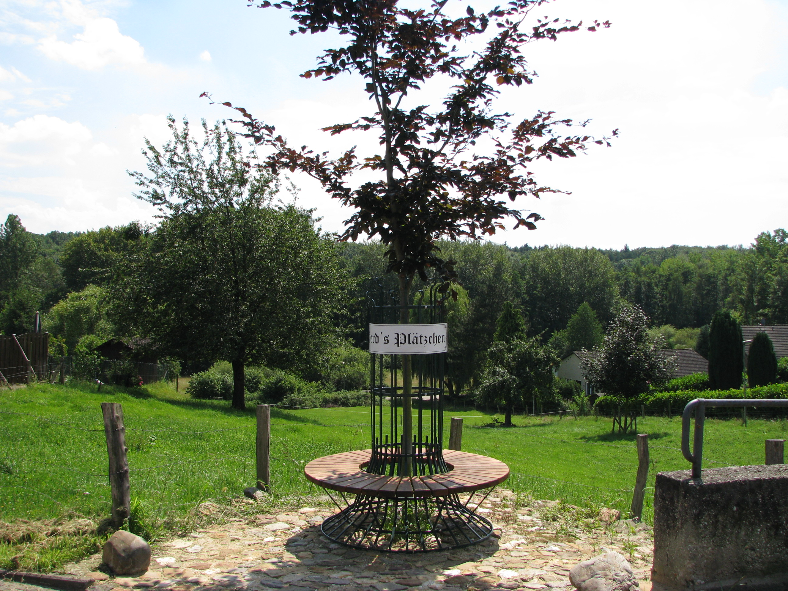 Sitzgruppe um Baum vor grüner Wiese