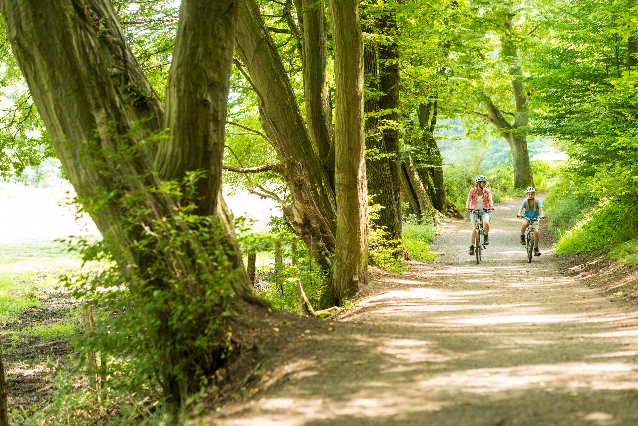 Zwei Fahrradfahrer auf Waldweg