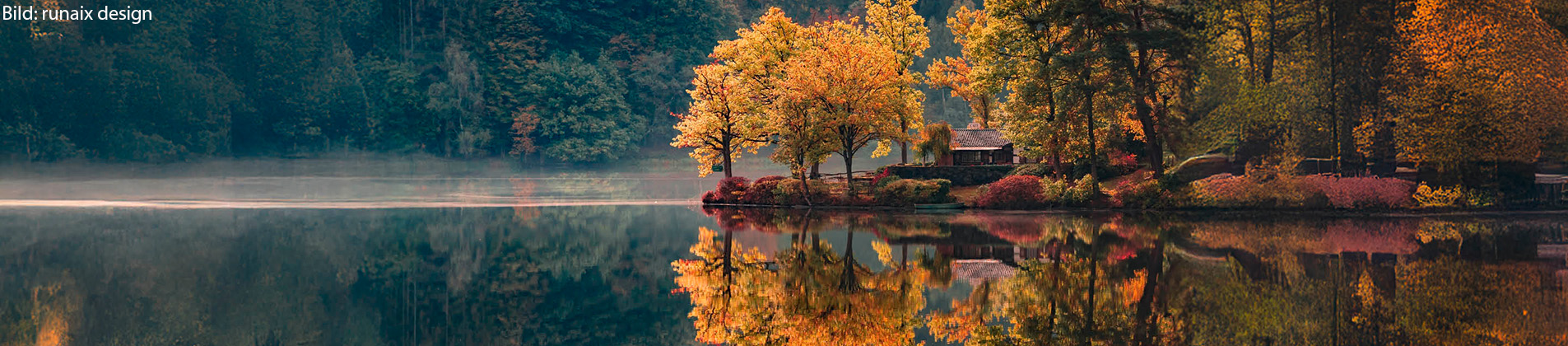 Rursee im Herbst