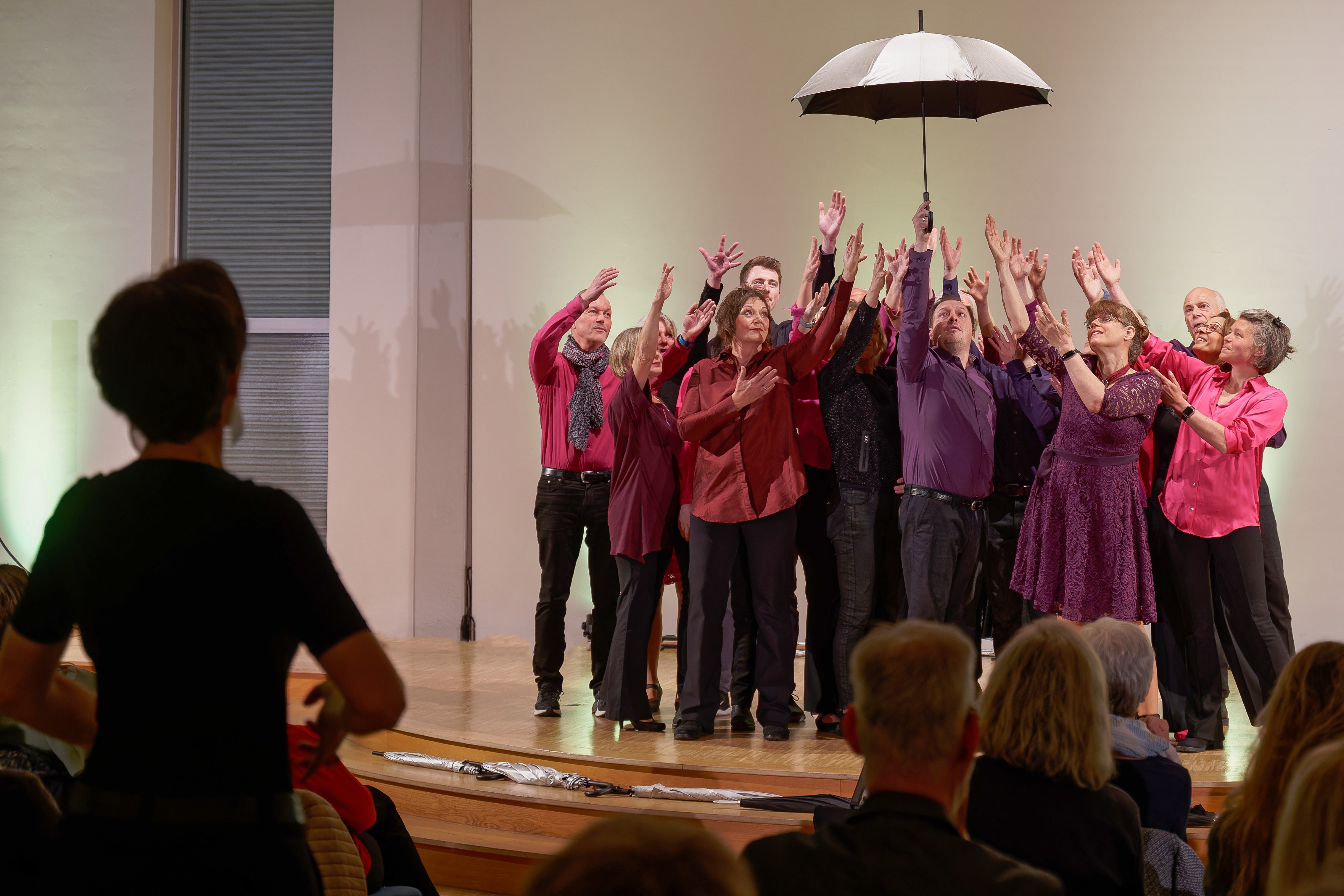 Gruppenbild des Chors Frameless während eines Auftritts